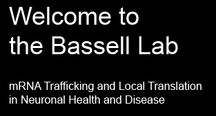 Bassell Lab Welcome